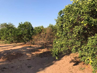 4-bedroom-farm-house-for-rent-in-shimabala