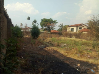 950 sqm Plot For Sale In Mass Media