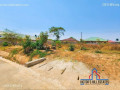 18m-by-30m-plot-for-sale-in-salama-park-small-3