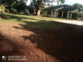 property-for-sale-in-makeni-small-8