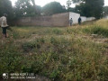 property-for-sale-in-makeni-small-1