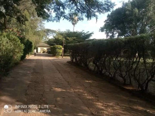 Property For Sale In Makeni