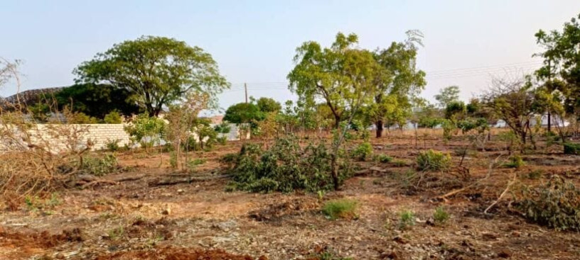 land-for-sale-in-ibex-meanwood-big-3