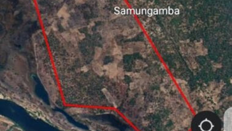 300-hectare-land-for-sale-in-zambezi-big-2