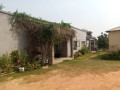 flats-for-sale-in-ibex-hill-small-4