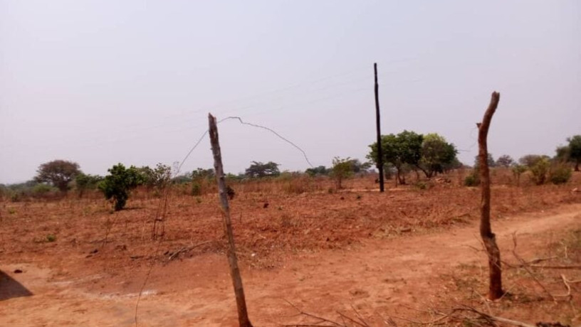 40m-by-30m-plots-for-sale-in-chifwema-big-4