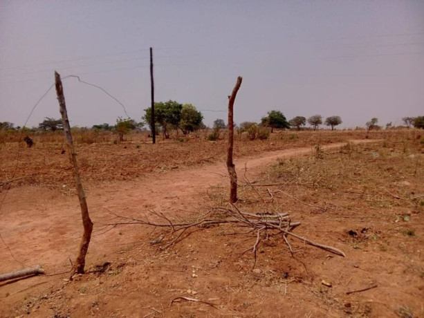 40m-by-30m-plots-for-sale-in-chifwema-big-2