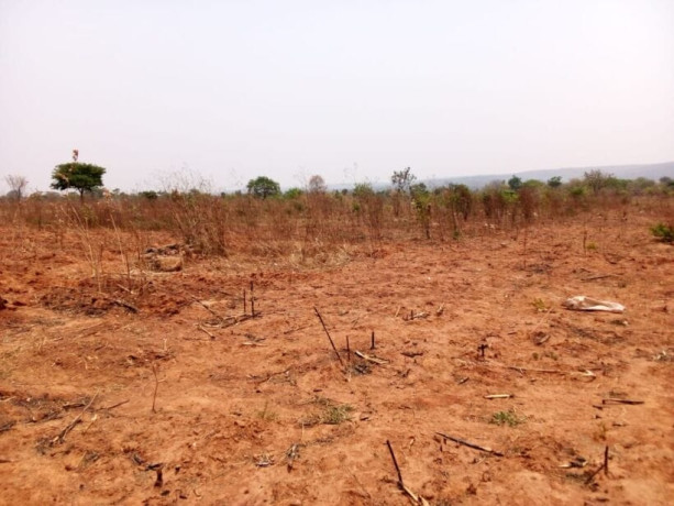 40m-by-30m-plots-for-sale-in-chifwema-big-8
