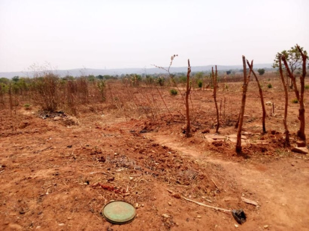 40m-by-30m-plots-for-sale-in-chifwema-big-5