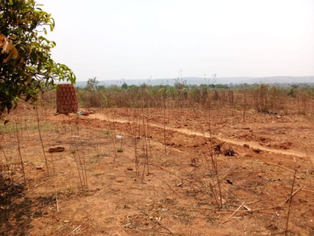 40m-by-30m-plots-for-sale-in-chifwema-big-1