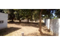 4-bedroom-house-for-sale-in-roma-small-2