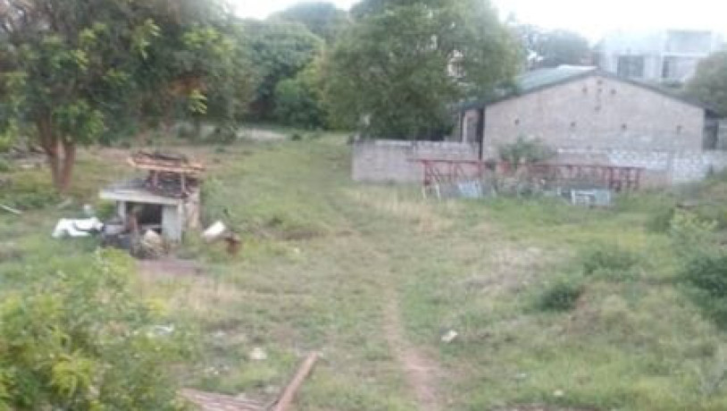 11-acre-plot-for-sale-in-roma-big-2