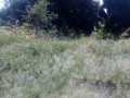 10-acres-land-for-sale-along-mumbwa-road-small-3