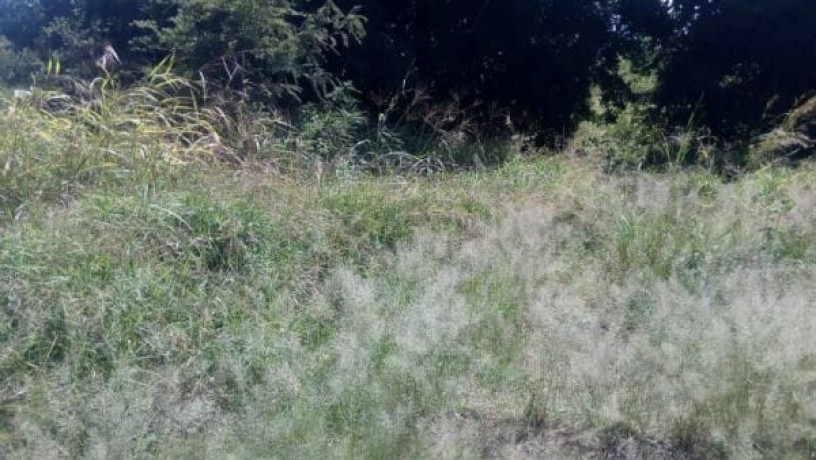 10-acres-land-for-sale-along-mumbwa-road-big-3