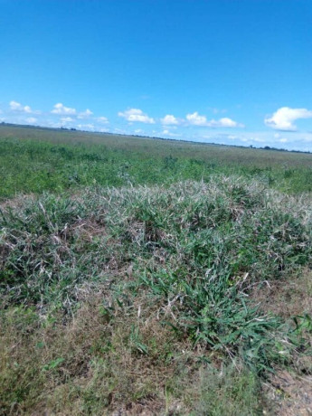 10-acres-land-for-sale-along-mumbwa-road-big-1