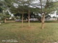 3-bedroom-flat-for-rent-in-lusaka-west-small-2