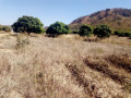 land-for-sale-in-kafue-east-small-0