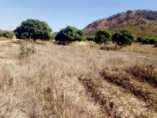 Land for Sale in Kafue East