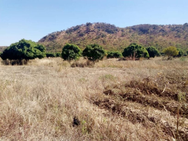 land-for-sale-in-kafue-east-big-3
