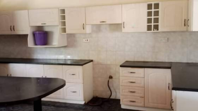 4-bedroom-house-for-rent-in-salama-park-big-7