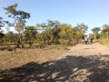 17-acres-land-for-sale-in-chongwe-small-2