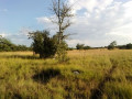 17-acres-land-for-sale-in-chongwe-small-1