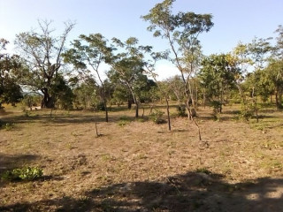 17 Acres Land For Sale in Chongwe