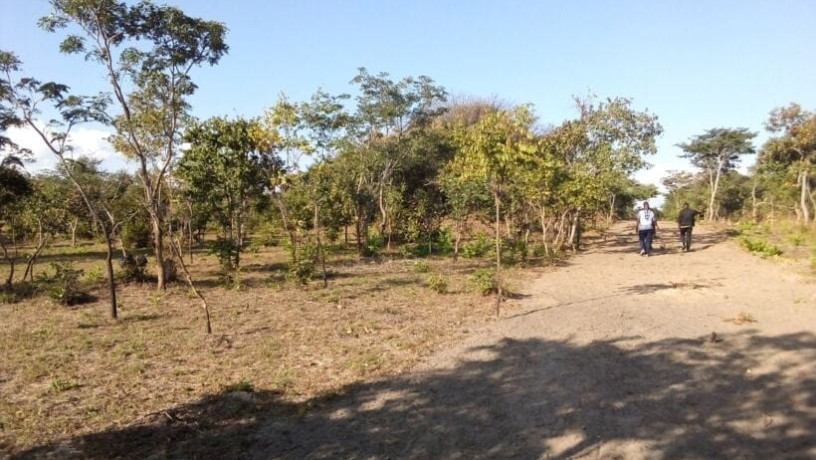 17-acres-land-for-sale-in-chongwe-big-2