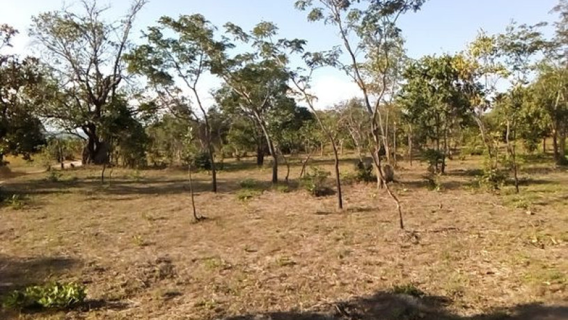 17-acres-land-for-sale-in-chongwe-big-0