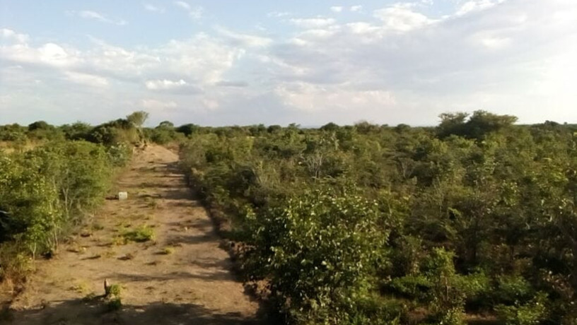 17-acres-land-for-sale-in-chongwe-big-6