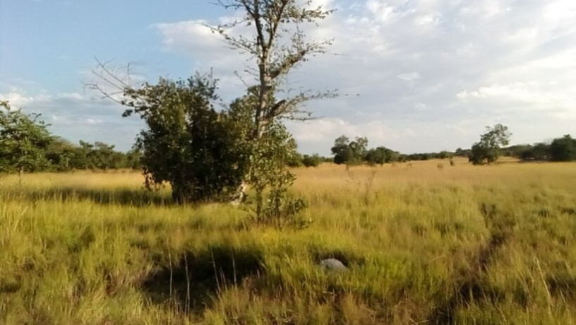 17-acres-land-for-sale-in-chongwe-big-1