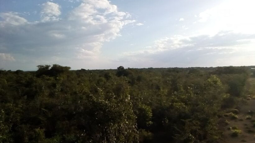 17-acres-land-for-sale-in-chongwe-big-4