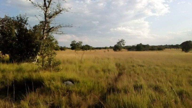 17-acres-land-for-sale-in-chongwe-big-3