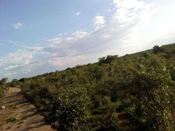 17-acres-land-for-sale-in-chongwe-big-5