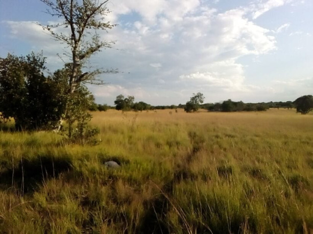 17-acres-land-for-sale-in-chongwe-big-3