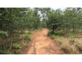 80-hectares-land-for-sale-in-siavonga-small-1