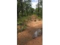 80-hectares-land-for-sale-in-siavonga-small-2