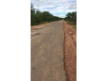 80-hectares-land-for-sale-in-siavonga-small-0