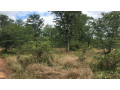 80-hectares-land-for-sale-in-siavonga-small-5
