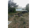 plot-for-sale-in-avondale-small-1