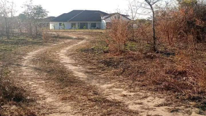 plots-for-sale-in-silverest-big-4