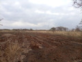 plots-for-sale-in-lusaka-west-small-0