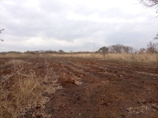 1.5 Acre Plot For Sale in Lusaka West