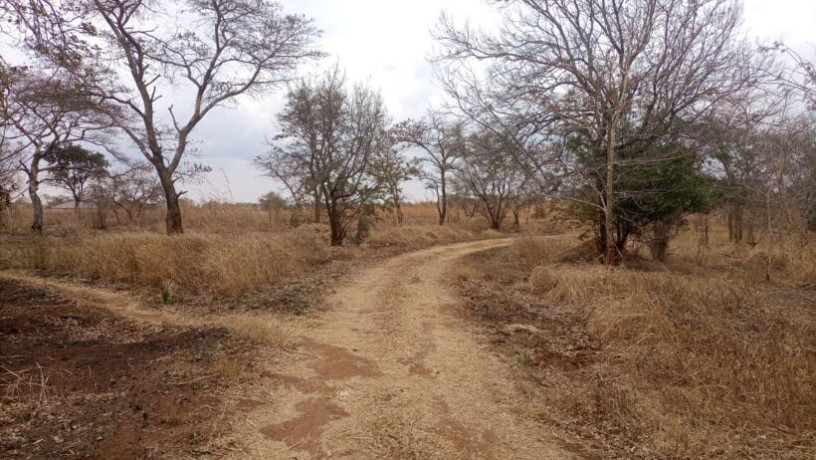 15-acre-plot-for-sale-in-lusaka-west-big-3