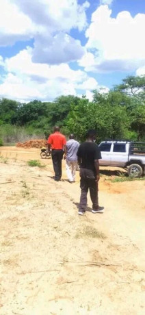 200-hectares-land-for-sale-in-lusaka-west-big-6