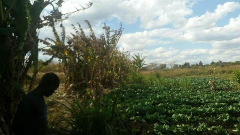 farm-for-sale-in-kalulushi-big-4