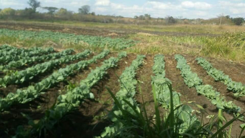 farm-for-sale-in-kalulushi-big-6