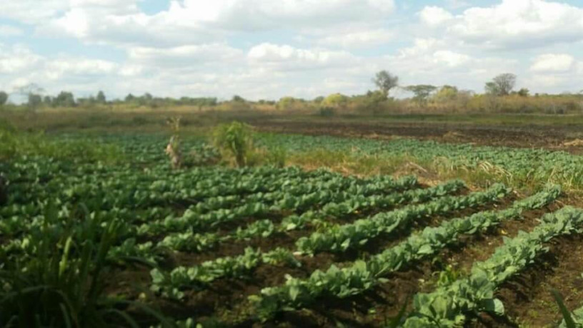 farm-for-sale-in-kalulushi-big-3