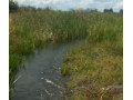 farm-for-sale-in-kalulushi-small-5