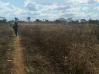 farm-for-sale-in-kalulushi